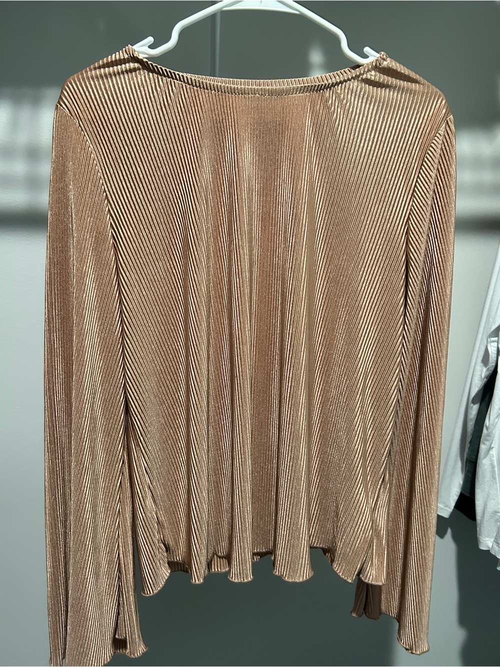 Pleated Long-Sleeve Women’s Top in Metallic Taupe